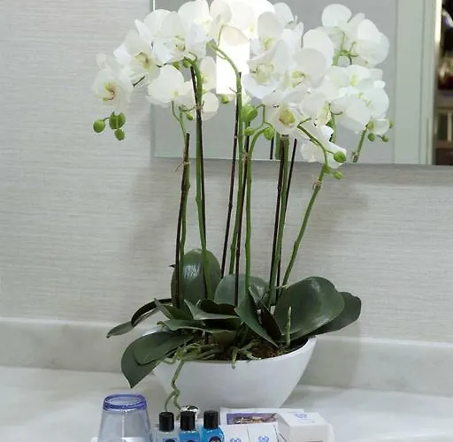 Jura Hotels Mavi Sürmeli Adana